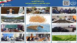 بولتن خبری هفته اول مرداد ماه ۱۴۰۵ روابط عمومی سازمان جهاد کشاورزی کهگیلویه و بویراحمد